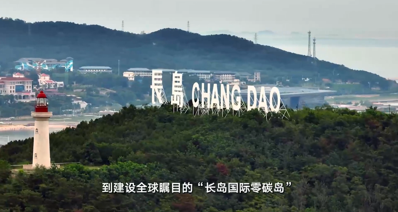 央广网对话全国人大代表、烟台市市长郑德雁：东方电子为打造国际零碳岛屿提供可复制技术路径